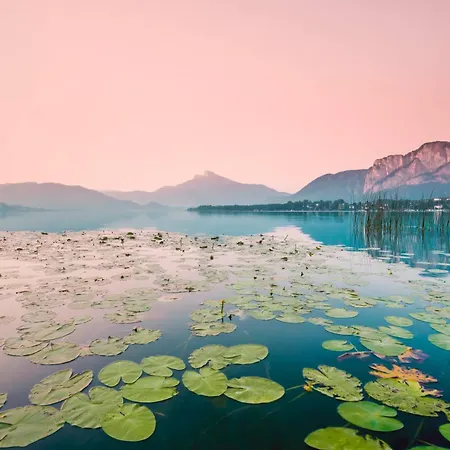 Apartment Perle - Design Am *