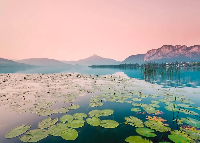 Apartament Perle - Design Am *